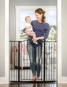 Regalo Easy Step Extra Tall Arched D?cor Walk Thru Baby Gate, Includes 6-Inch Extension Kit, 4 Pack Pressure Mount Kit and 4 Pack Wall Mount Kit, Bronze