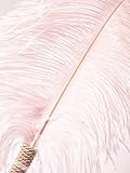 Ann Summers Pink Feather Tickler