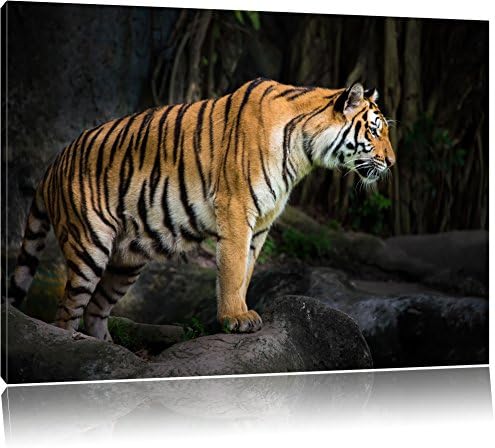 Tiger, painting on canvas, XXL Pictures completely framed with large wedge frames, wall art print picture with frame, cheaper than painting or an oil painting, not a poster or placard, Leinwand Format:60x40 cm