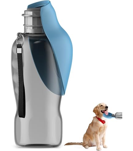 Trinkflasche Für Hunde Unterwegs – 580 Ml, Faltbar, Auslaufsicher, Mit Karabiner, Für Reise & Camping, Grün