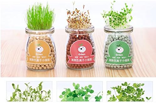 SZYRC Live grass dolls Anion grass head doll potted creative desktop mini plant office desktop water culture small potted plants