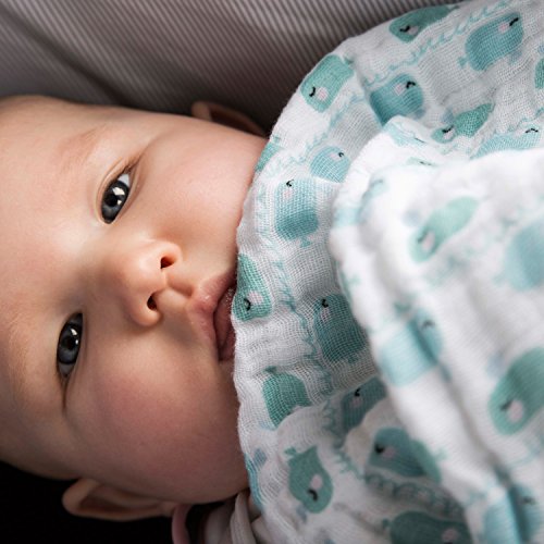 Emma & Noah Baby Kuscheldecke, extra weich und flauschig, 100% Baumwolle, Größe 120 x 120 cm, ideal als Babydecke, Einschlagdecke, Schmusetuch, Kinderwagendecke - 9