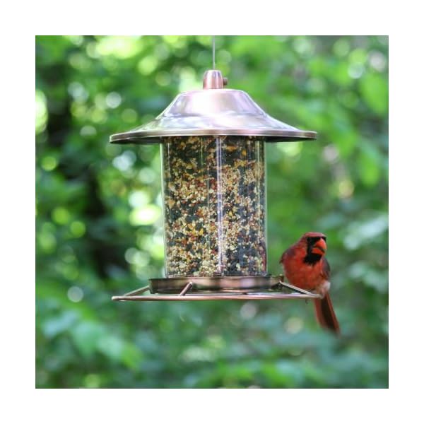 Perky-Pet Panorama Mangiatoia per Uccelli in Rame, 312C