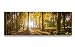 Produktbild Bild & Kunstdruck der deutschen Marke Visario 120 x 40 cm ArtNr 5722 Bilder auf Leinwand Kunstdrucke Wald Wandbild einteilig