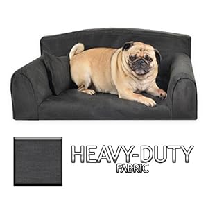 bunty elevated dog bed
