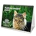 Produktbild Katzenzauber · DIN A5 · Premium Tischkalender/Kalender 2019 · Katzen · Haustier · Stubentiger · Katzenbaby · Tier · Edition Seelenzauber