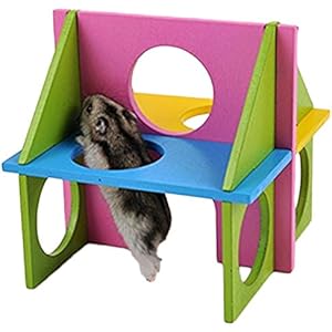 Vi.yo Hamster Gym Holz Übung Haus Spielzeug Natural Gym Spielplatz für Pet Zwerg Hamster Gerbil Ratte Maus holzspielzeug Bunte