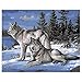 Produktbild ERQINGSZH Digitale Malerei Holzrahmen Farbe Nach Anzahl Oder Nicht - Neuerscheinung DIY Ölgemälde Nach Zahlen - Snow Wolf