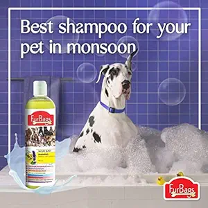 Fur Bags Pet (Dog , Cat , etc.) Shampoo with Conditioner 500 ml Pack of 1