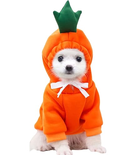 Verstellbares Tierkostüm Flügel Katze Hund Schmetterling Flügel Kostüm - Halloween Verkleidung Für Haustiere Hunde Festtagskostüm
