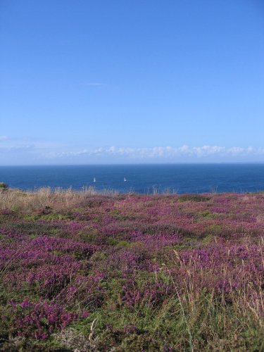 Download TOUS LES GARCONS SONT PASSES SANS ME VOIR