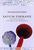 Image de SANUM-Therapie nach Prof. Enderlein und ergänzende Maßnahmen - Praxisleitfaden.