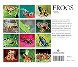 Image de Frogs 2016 Calendar