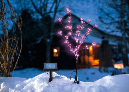 esotec Solar LED Blütenstrauch, rosa 102104 - 3