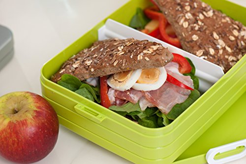 Rosti Mepal Lunchbox – TAB large – silber - 11