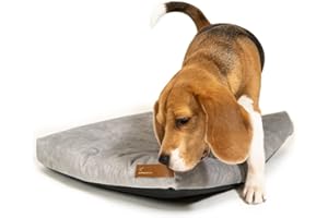 Rexproduct - SoftPet Hundebett I Hundematratze aus Recycling-Stoffen I Abnehmbarer Bezug mit Reißverschluss I Waschbar und Einfach zu Reinigen I Oeko-Tex I Größe XL (70x90 cm) - Hellgrau
