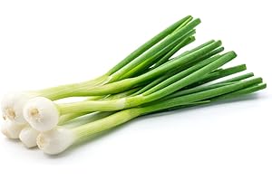 ACQUA TOWER GROWING SYSTEMS Spring Onion Plants, 'White Salad', 36 x Full Plant Pack, Spring Onions, Salads, Salad Onions, Garden Ready and Ready to Plant, Premium Quality Vegetables