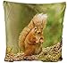Produktbild Markenlos Kissenhülle 40x40 cm Dekokissen Kissenbezug Fotokissen Kissen Hüllen Bezug Bezüge (Eichhörnchen auf Waldboden)