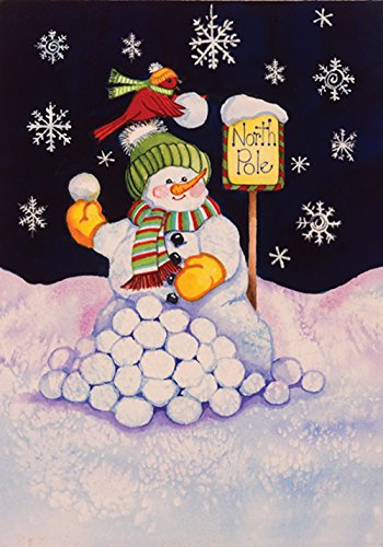 Toland Home Garden North Pole 12.5 x 18-Inch Decorative USA-Produced Garden Flag