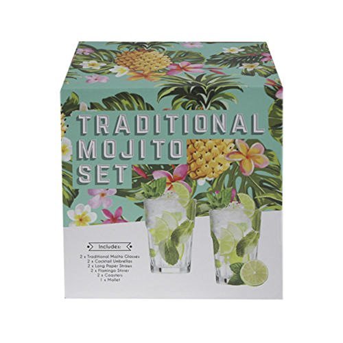 Ardisle Mojito-Cocktail-Maker-Kit-Geschenk-Set 2 Gläser Stampfer Mixer DIY Cocktailschirmchen Strohhalme