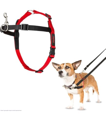 PetSafe Collare Anti-trazione Per Cani Taglia Media, Cavezza Comoda Con Guinzaglio Incluso - Nero - Foto 10