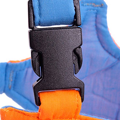 Zanasta Lauflernhilfe für Baby und Kleinkinder mit stabilem Griff und verstellbare Gurte | Für mehr Sicherheit beim Laufenlernen, Orange-Blau - 2