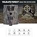 Produktbild Buyfunny01 1080P Jagd Trail Spiel Kamera, Fernbedienung, Infrarot-Nachtsicht, Wasserdicht Wildlife Trail Trap Animal Kamera Digital Überwachungskamera, grün, Free Size