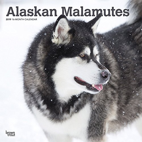 Download Alaskan Malamutes 2019 Calendar