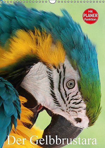 Der Gelbbrustara (Wandkalender 2017 DIN A3 hoch): Der Gelbbrustara in seiner ganzen Schönheit (Planer, 14 Seiten ) (CALVENDO Tiere)