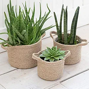 POINT SHOPPY Handcrafted Woven Round Floral Pots Bag Natural Jute Plant Bag Pot Bags for All Plants Home Room Hall Decor Indoor Outdoor Plant Sack (Set of 3) (Beige) (with Handle)