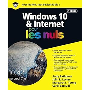 Windows 10 et Internet 4e pour les Nuls, grand format