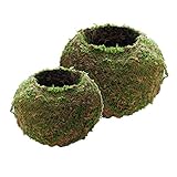 Color verde FLAMEER 2 Piezas De Estilo Japonés Musgo Natural Bonsai Maceta De Flores, Verde Sphagnum Musgo Sustrato Planta En Maceta Maceta Hidratante, 9 Cm Y 18 Cm