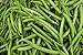 Produktbild PLAT FIRM GERMINATIONSAMEN: 1/2 Pfund: BLUE LAKE Buschbohnen