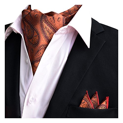 YCHENG Hombre Bufanda Jacquard Ascot Paisley Corbatas Pañuelo Boda Fiesta XLJ-20