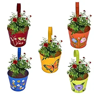 TRT Metal Designer Hand Painted Railing Metal Planter/Plant Holder/Flower Pot for Balcony, Home Garden || Pack of 5 || 8 inch - Multicolour, Standard