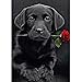 Produktbild DIY Diamond Painting Rhinestone 5D Embroidery Cross Stitch Arts for Craft Home Decoration Black Dog and Rose