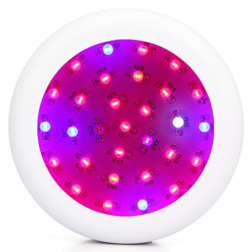 JADIDIS 300W UFO LED Pflanzenlampe Doppelte Chips für Kraut Blume Zimmerpflanzen Wachsend Hydroponisches System 9 Band Vollspektrum Wachsen Licht(10W Leds)
