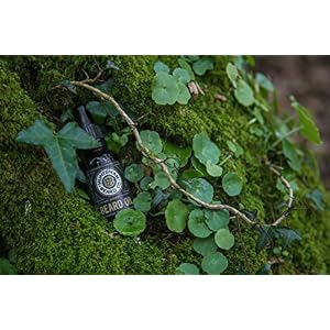 Beard Oil, Forest Blend, All Natural - 7 Premium Oils Blended Into a Mouth Watering Concoction - Guaranteed to Soften… - Image 7