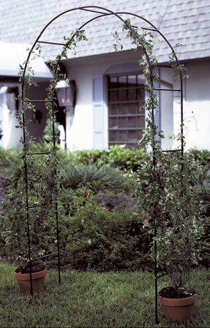 Brema 123.322 Rosenbogen 140 x 37 x 240 cm