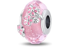 ChenYuTe Charms en Argent 925 pour Bracelets, Pendentifs Compatibles avec les Bracelets Européens Pandora et les Colliers pour Femmes