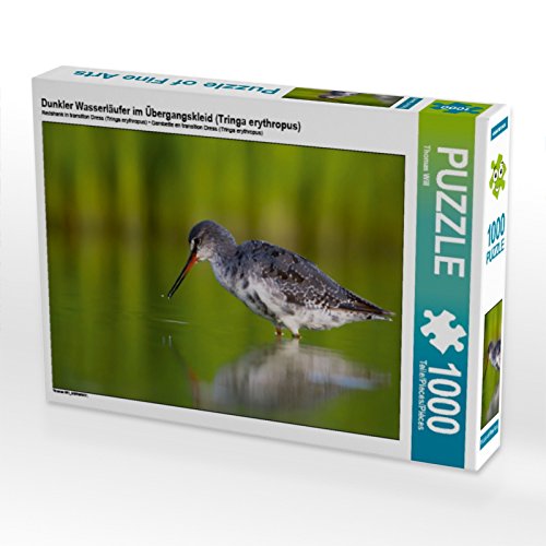 Preisvergleich Produktbild CALVENDO 4059478913424 Dunkler Wasserläufer im Übergangskleid (Tringa erythropus) 1000 Teile Lege-Größe 64 x 48 cm Foto-Puzzle Bild von Will Thomas, Weiß