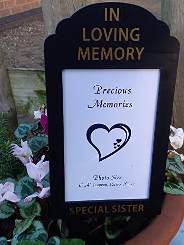 In Loving Memory Special Sister Memorial Spike Photo Frame