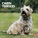 Cairn Terriers 2012 by 