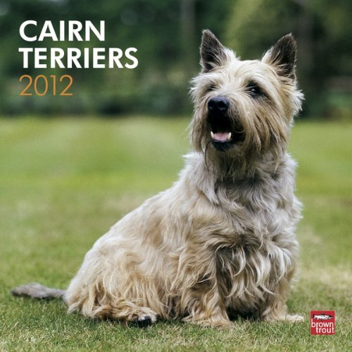 Cairn Terriers 2012