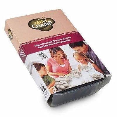 Minichamp Kit Champignons Pleurotes Gris à faire pousser