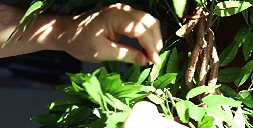 Stilvoller künstlicher Baum & Pflanzen, Der Japanese Fruticosa Tree ist eine wunderschöner künstliche Pflanze für Büros und Innendekorationen Höhe: 165cm groß. Pflanzen für einen Wintergarten - 7