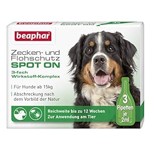 Beaphar – Bio Spot Gotas para perro sobre 15 kg