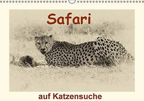 Safari - auf Katzensuche (Wandkalender 2017 DIN A3 quer): Spüren Sie die scheuen Großkatzen auf (Monatskalender, 14 Seiten) (CALVENDO Tiere)
