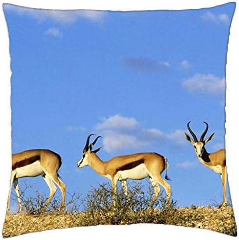 Springboks linde up - Throw Pillow Cover Case (18" x 18")