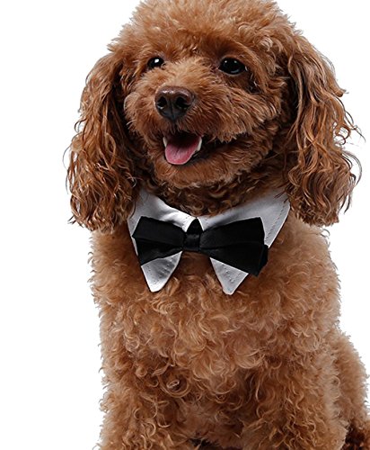 La-Vogue-Dog-Bow-Tie-Pet-Christmas-Tuxedo-Wedding-Bowtie-Collar-Neck-Tie